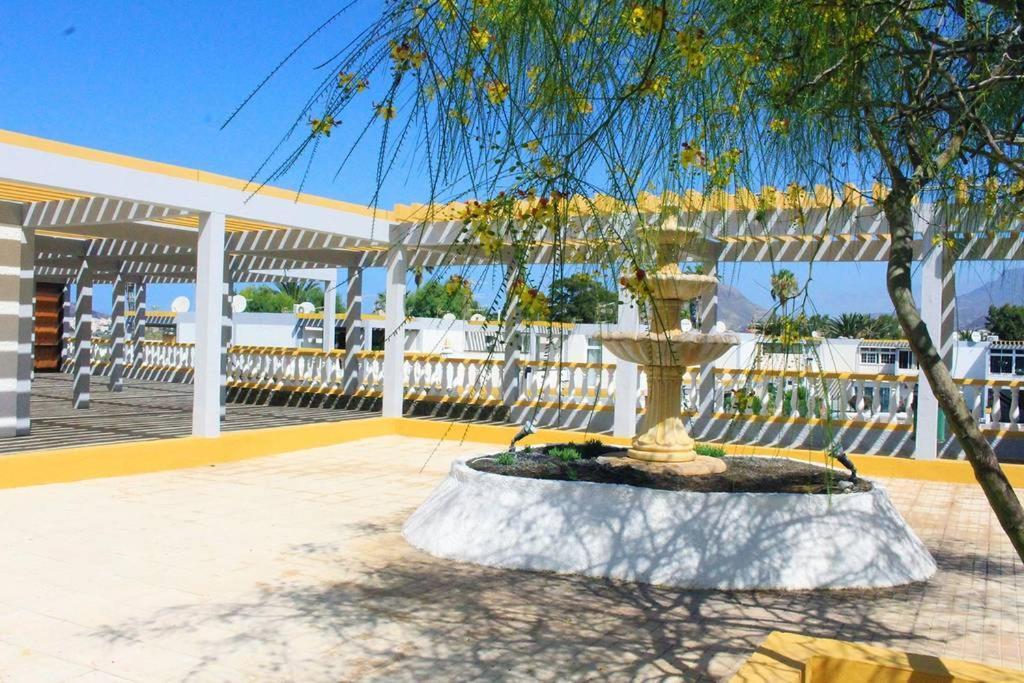 Apartamento Drago Apartment Costa Del Silencio Ngoại thất bức ảnh